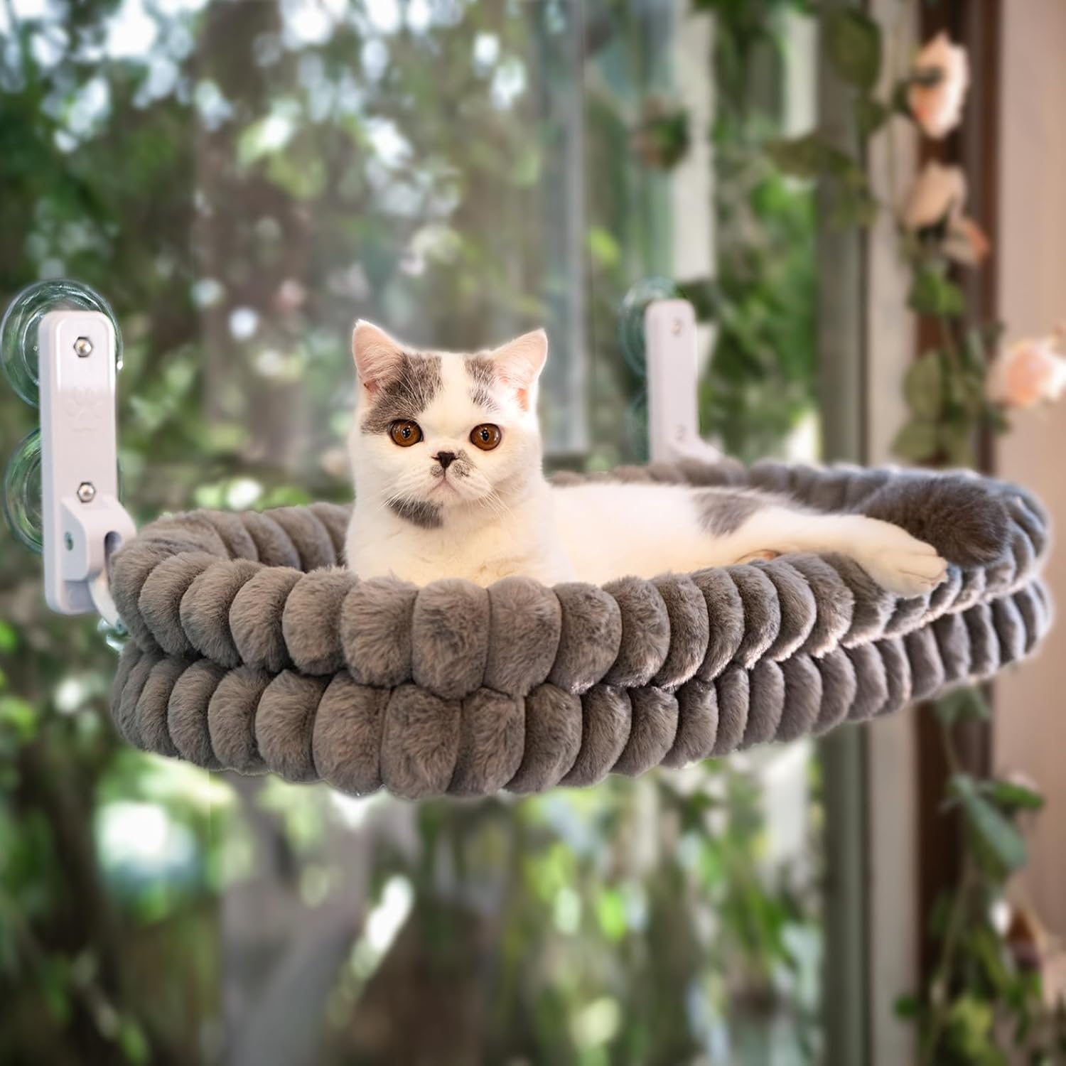 Tailory™ CloudNest Window Perch